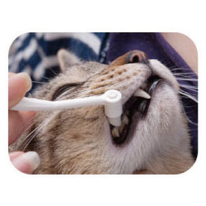 NYANKO CARE Tooth Cleaner