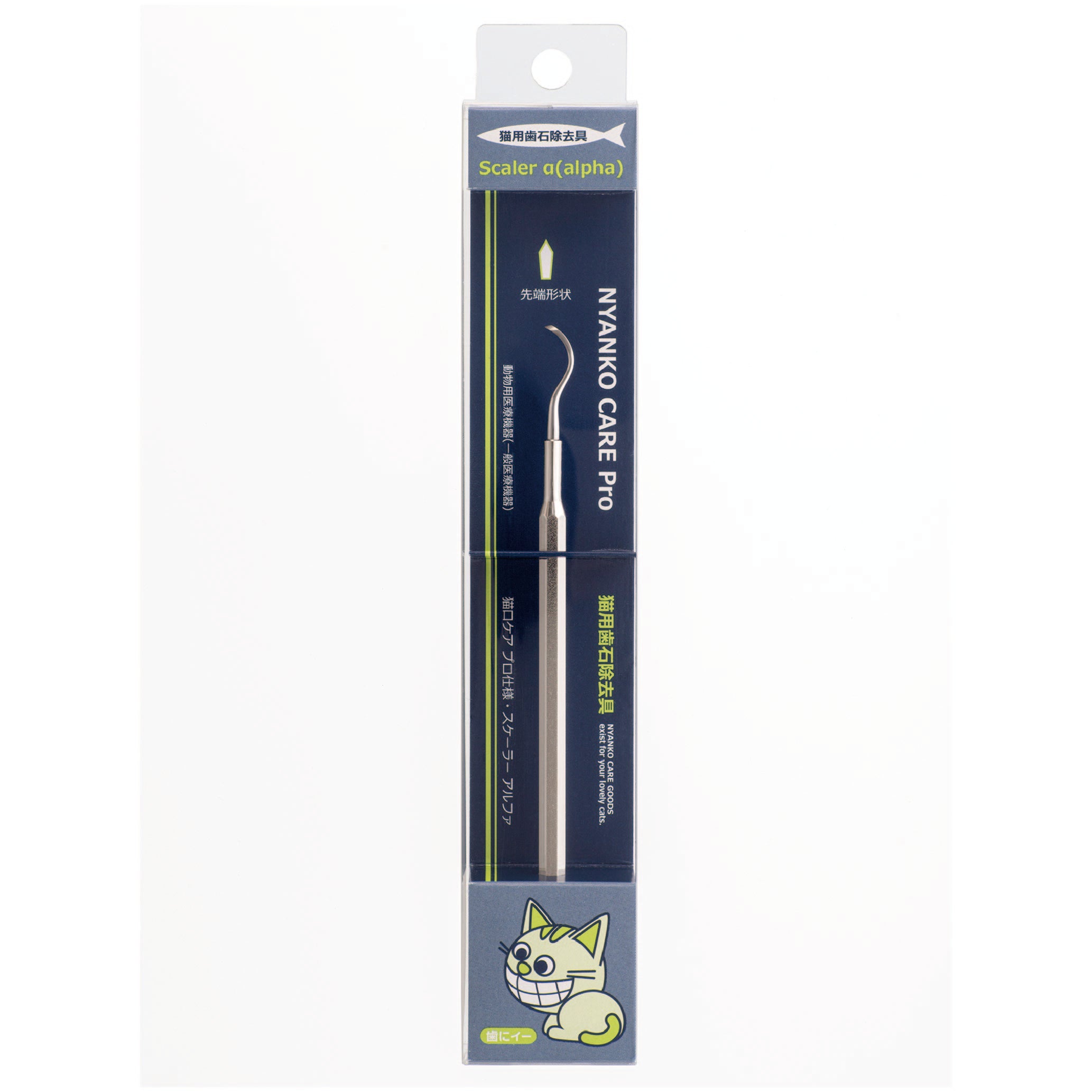 未使用品 入れ歯 imgrc0094978865.jpg