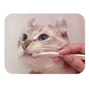 SHIZU-KICHI Toothbrush Micro Head